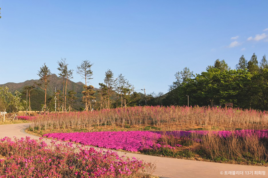 Geumgang Park Eco Studio